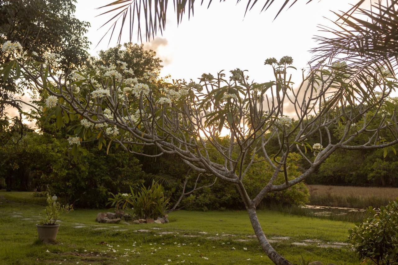 Pousada Lagoa Da Pedra 因巴塞 外观 照片